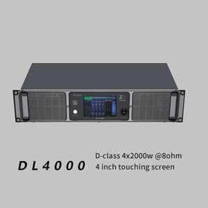 DL 4000 Amplifier
