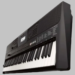 Psr-E463