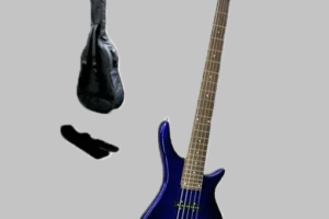 bass gultar5
