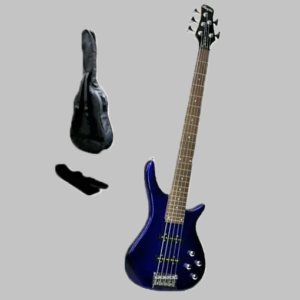 Bass Guitar - 5 Strings