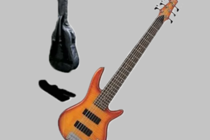 bass gultar6