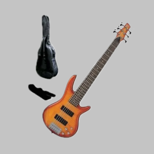 Professional 6 Strings Bass Guitar