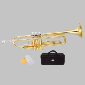 Golden Coloured Trumpet