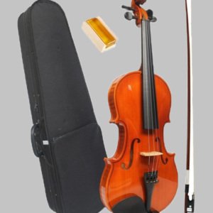 4/4 Full Size Violin
